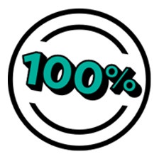 100 percent green icon