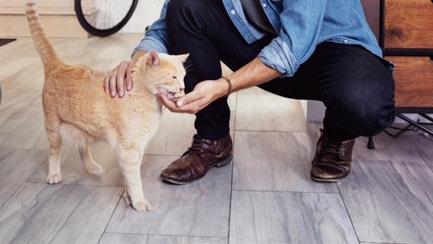 how should you use treats.jpg