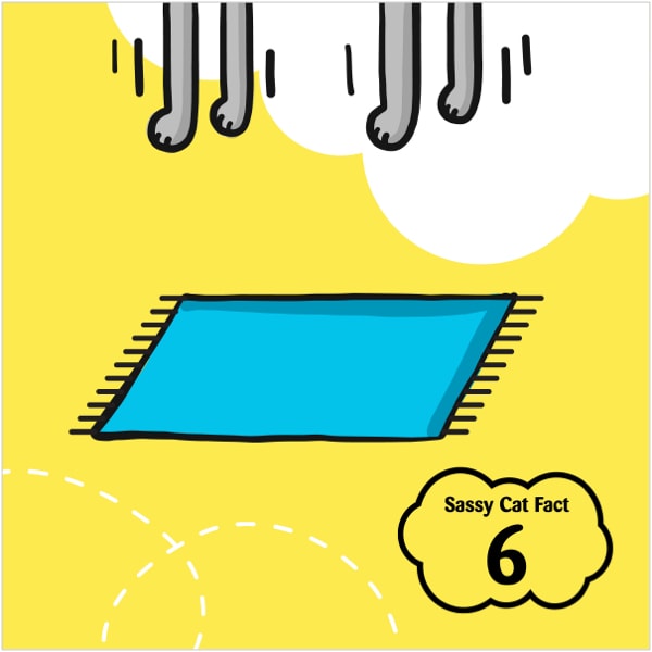 Sassy Cat Fact 6