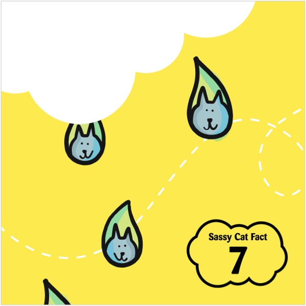 Sassy Cat Fact 7