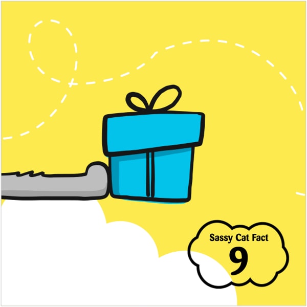 Sassy Cat Fact 9