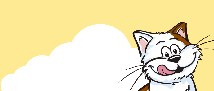 Cat creamy puree