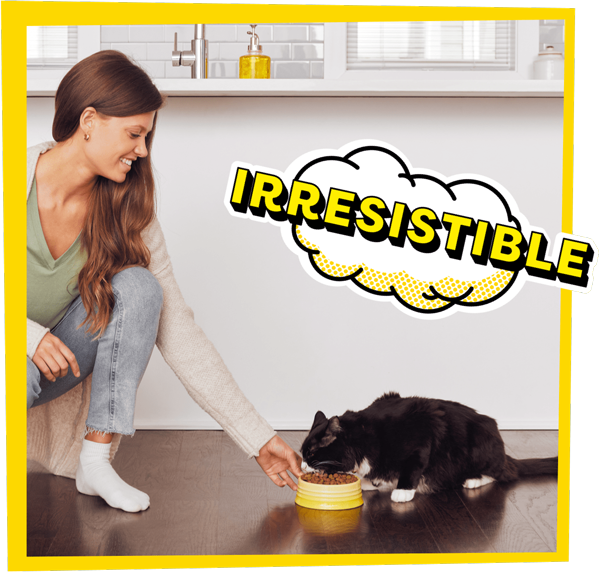 irresistible dry food
