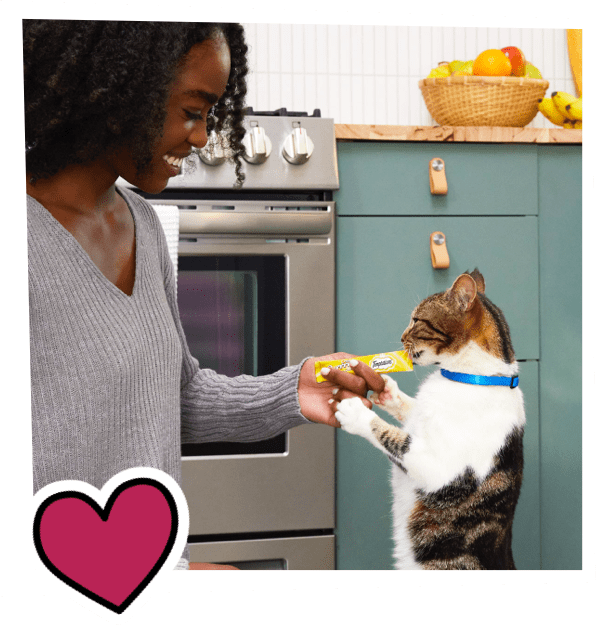 Show Us How You Treat on Instagram