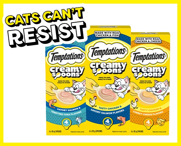 creamy spoons - desktop